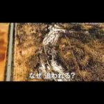 映画「デンジャラス・ラン」を観た!