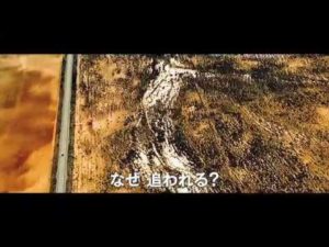 映画「デンジャラス・ラン」を観た！